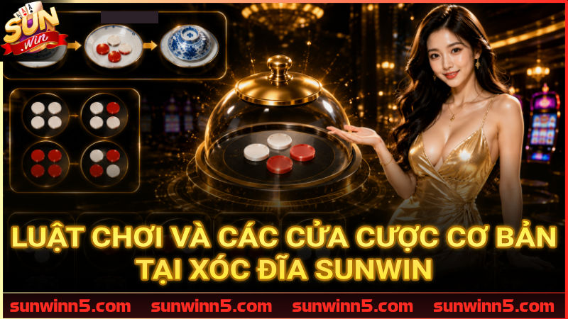 Chi tiết cách phân định thắng thua và các cửa đặt trong Xóc Đĩa Sunwin